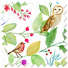 Hedgerow Velvet, Elysia - Roman Blind